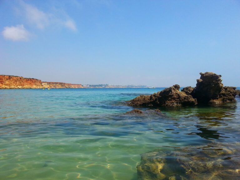 Aloha Cádiz - Cala del Aceite - Conil de la Frontera