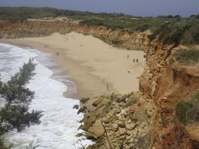 Aloha Cádiz - Cala del Aceite - Conil de la Frontera