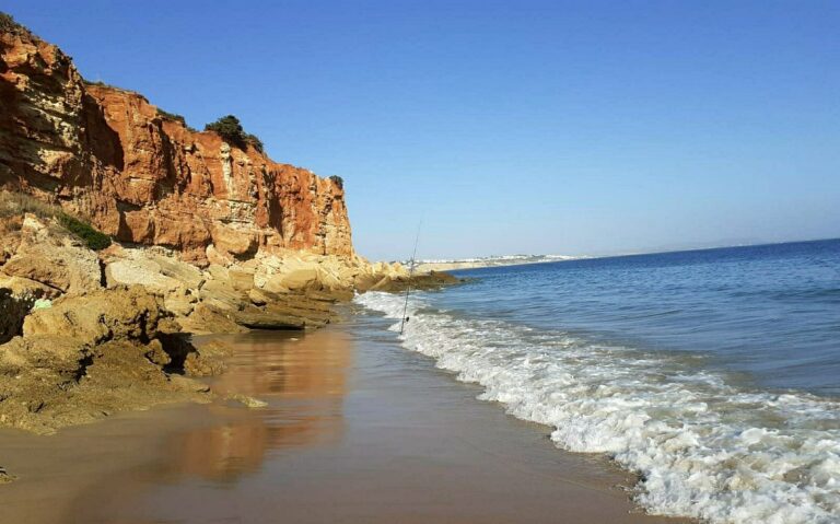 Aloha Cádiz - Cala del Aceite - Conil de la Frontera