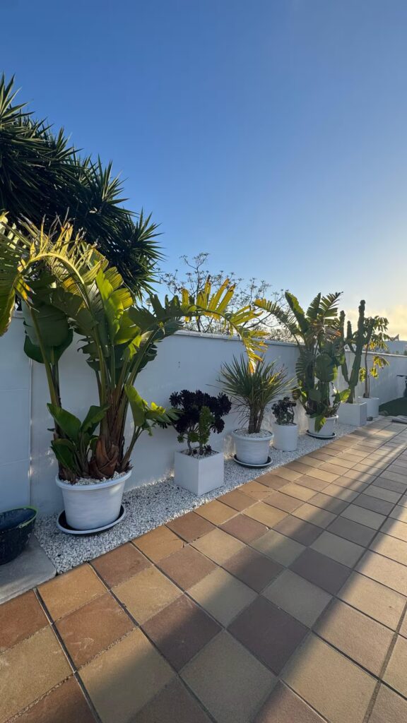 Aloha Cádiz - Alojamiento en Conil - Chalet en Conil