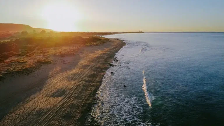 Aloha Cádiz El Palmar (Vejer de la Frontera)