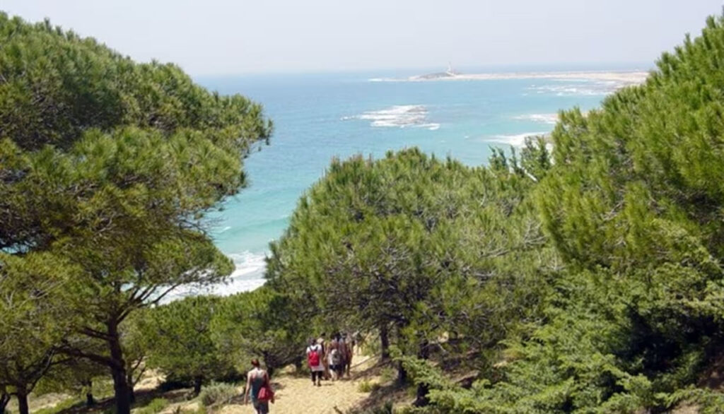 Aloha Cádiz - Caños de Meca y el Parque Natural de la Breña y Marismas del Barbate
