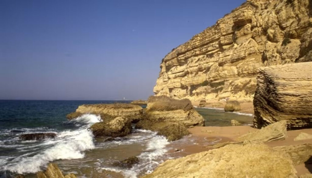 Aloha Cádiz - Caños de Meca y el Parque Natural de la Breña y Marismas del Barbate