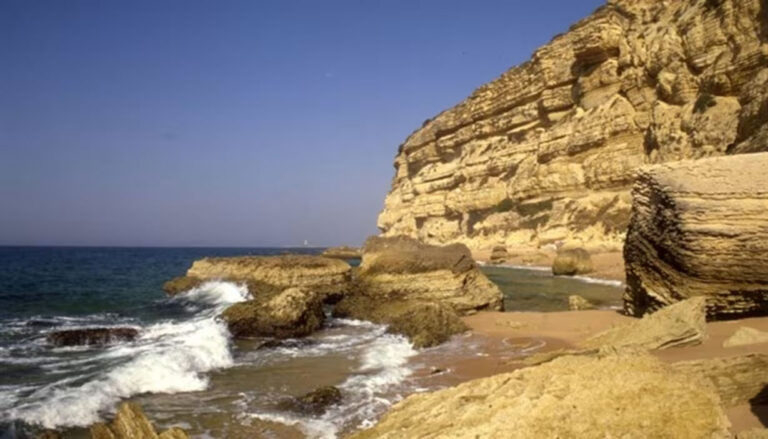 Aloha Cádiz - Caños de Meca y el Parque Natural de la Breña y Marismas del Barbate