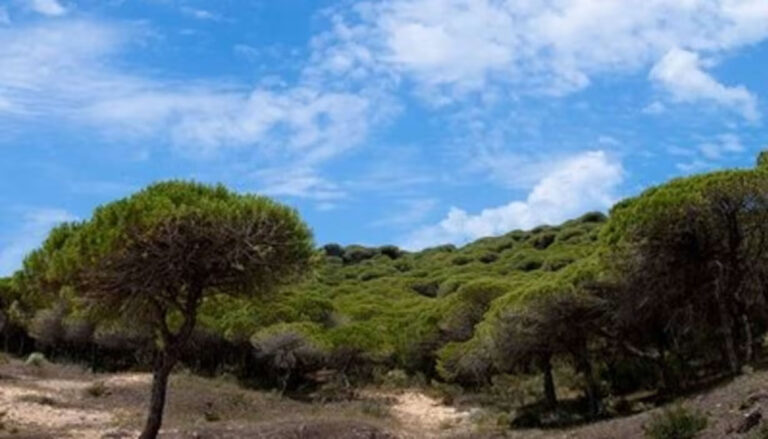 Aloha Cádiz - Caños de Meca y el Parque Natural de la Breña y Marismas del Barbate