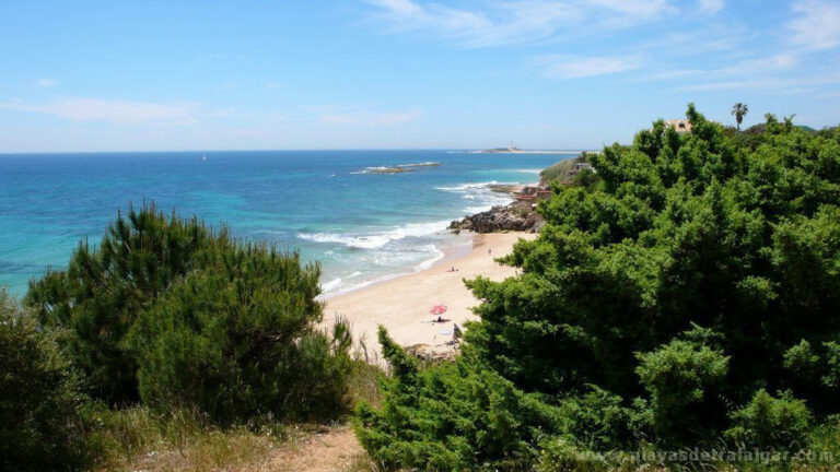 Aloha Cádiz - Caños de Meca y el Parque Natural de la Breña y Marismas del Barbate